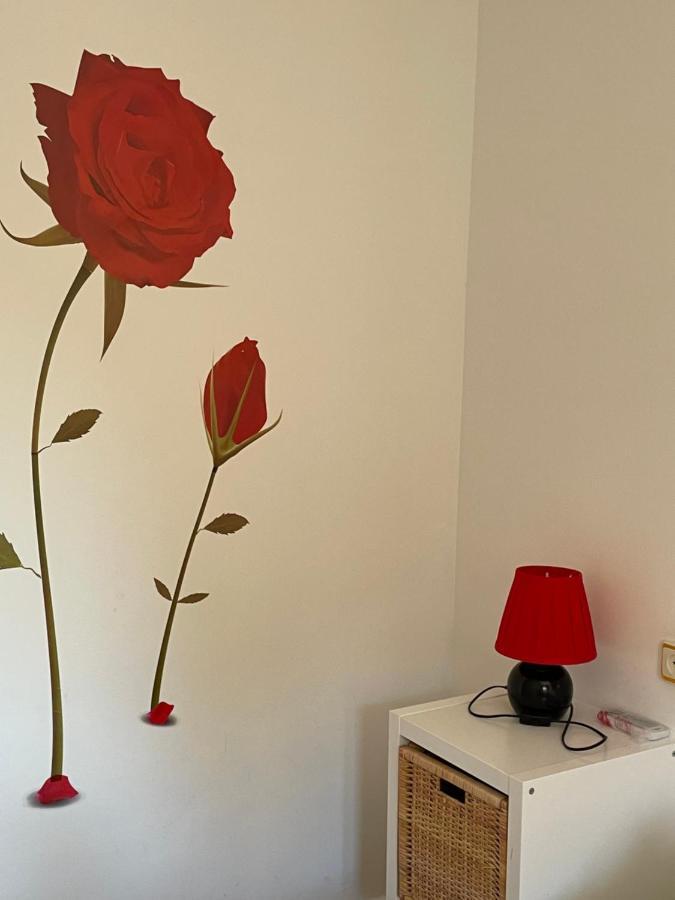 Apartamento Beatriz クエンカ エクステリア 写真